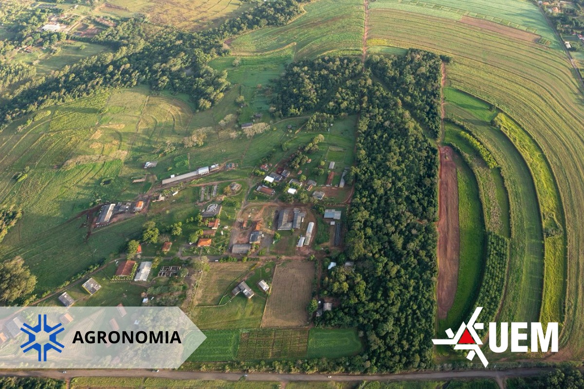 Graduação alia ensino, pesquisa e prática de campo para formar profissionais para o agronegócio atual