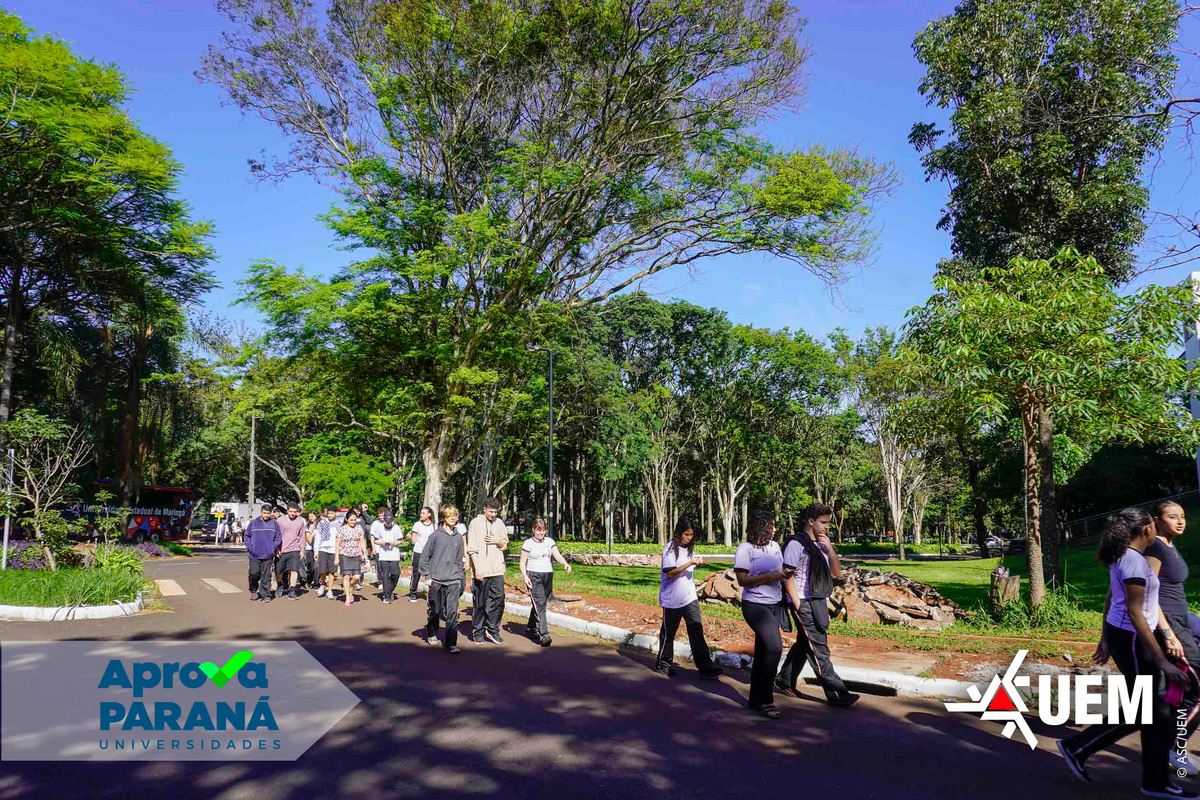 Programa é voltado à rede pública e oferta vagas em todas as instituições de ensino superior do Paraná