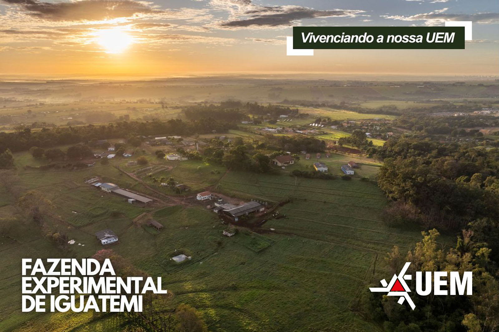 Na Fazenda Experimental de Iguatemi teoria e prática se unem para impulsionar inovação e aprendizado