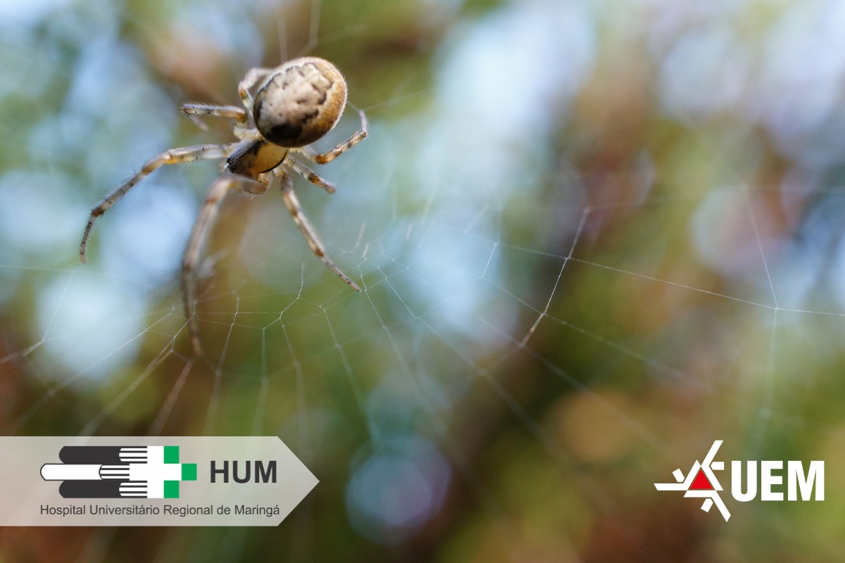 Em 2024, foram 152 casos registrados no HUM, com destaque para os meses mais quentes do ano