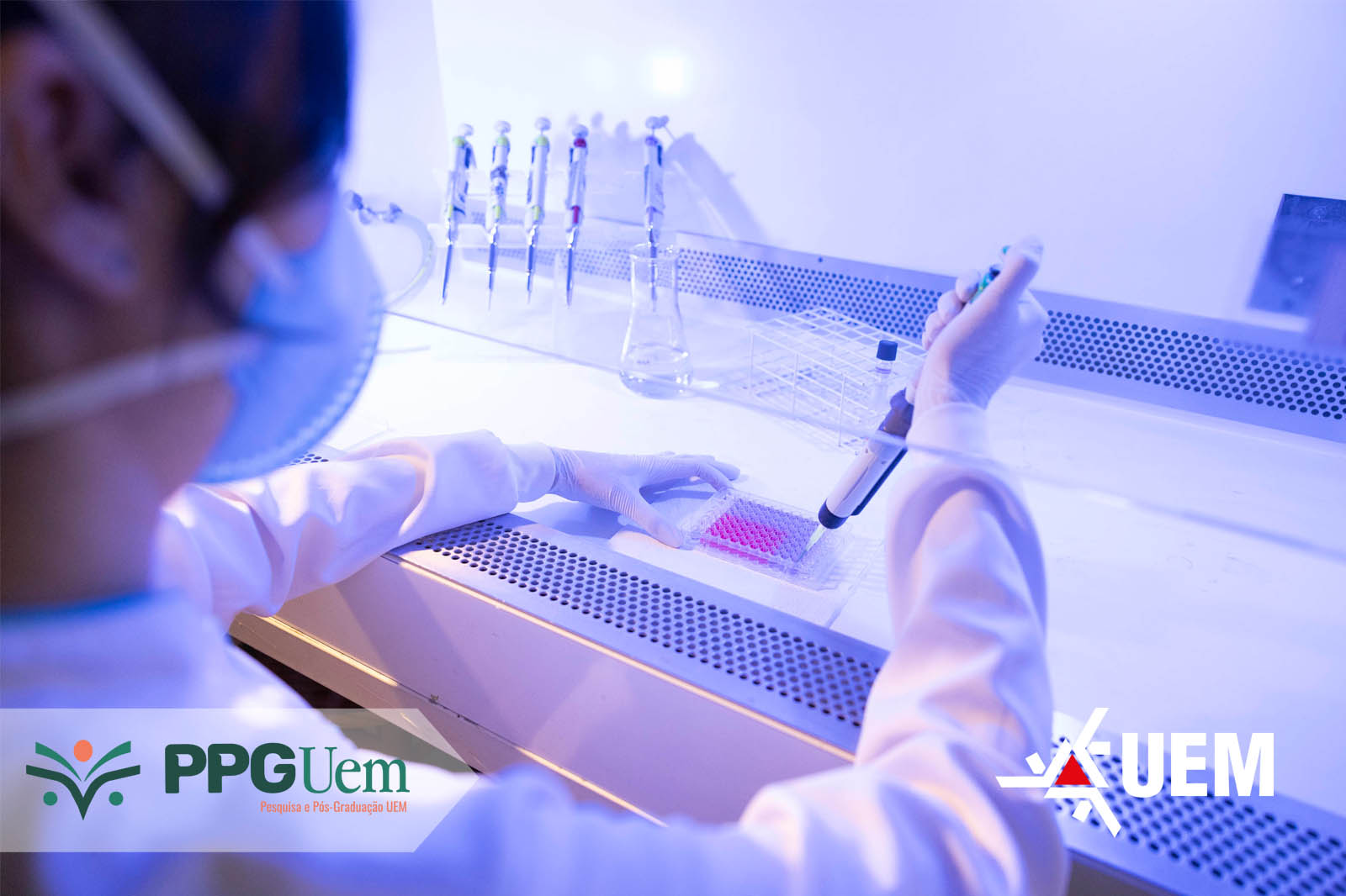 Inscrições vão até terça-feira (14); valor é de R$ 3,2 mil por mês para atuar em laboratórios de pesquisa