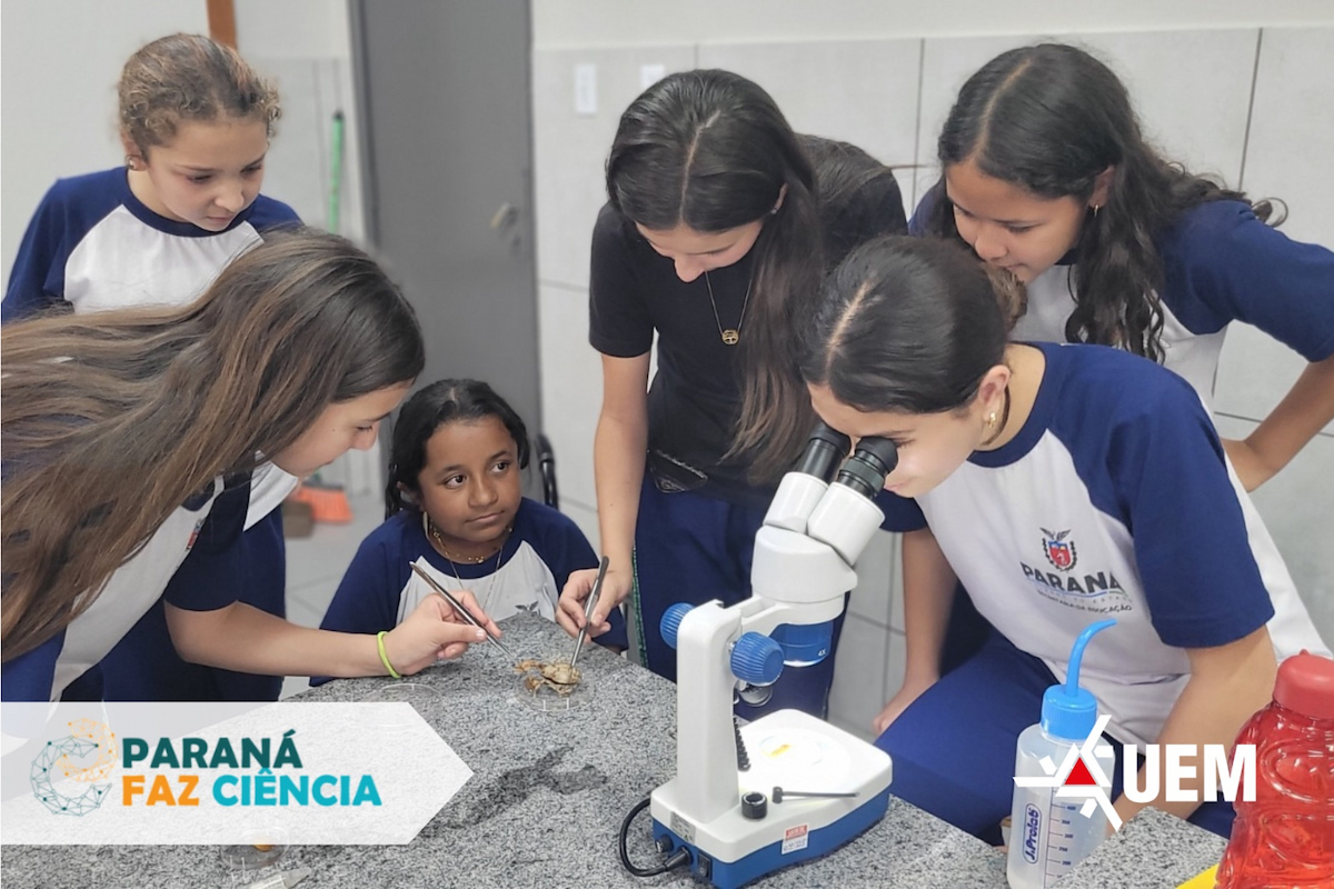 Feira de Cultura Científica integra o NAPI Paraná Faz Ciência e reúne Clubes coordenados pela UEM