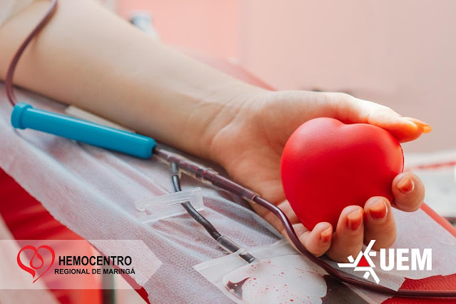 Dados refletem aumento de demanda e estratégias adotadas pela Universidade na captação de doadores