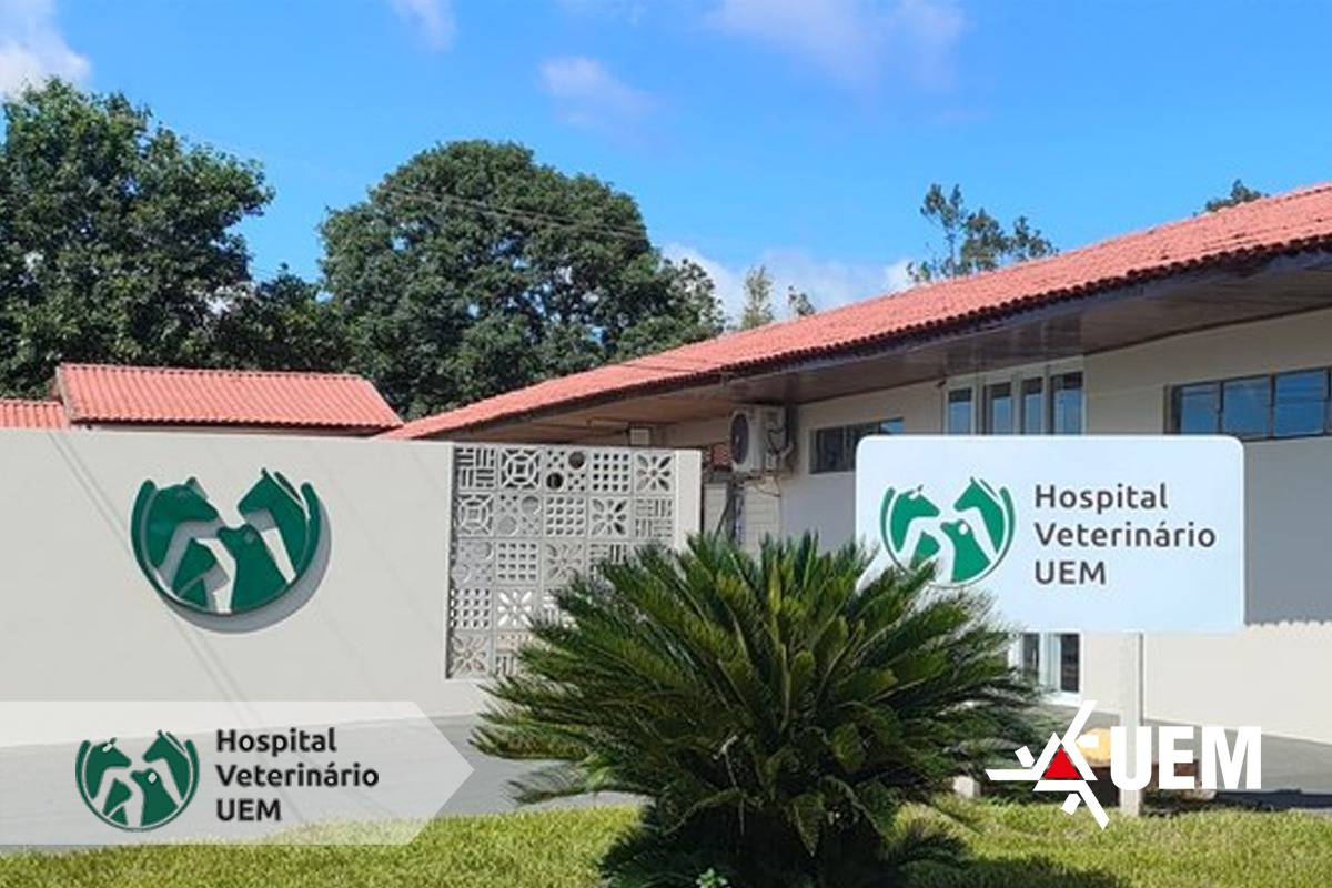 Unidade em Umuarama já realizou mais de 60 mil procedimentos e atende 24h animais de pequeno, grande porte e silvestres