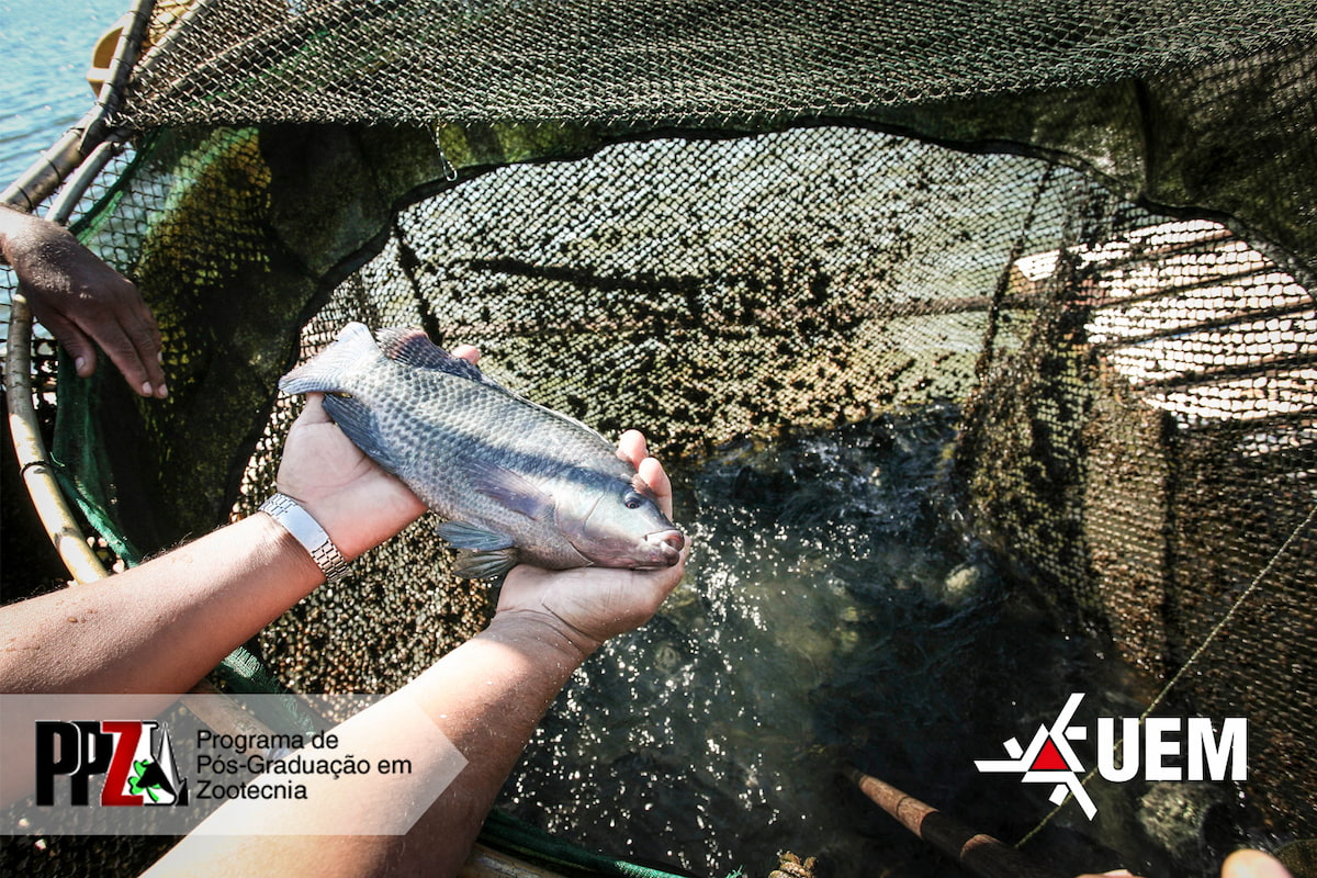 Processo seletivo é para ingresso no primeiro semestre de 2026; resultado será divulgado até 15 de dezembro