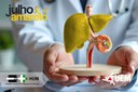 Julho Amarelo acende alerta para cuidados contra hepatites virais