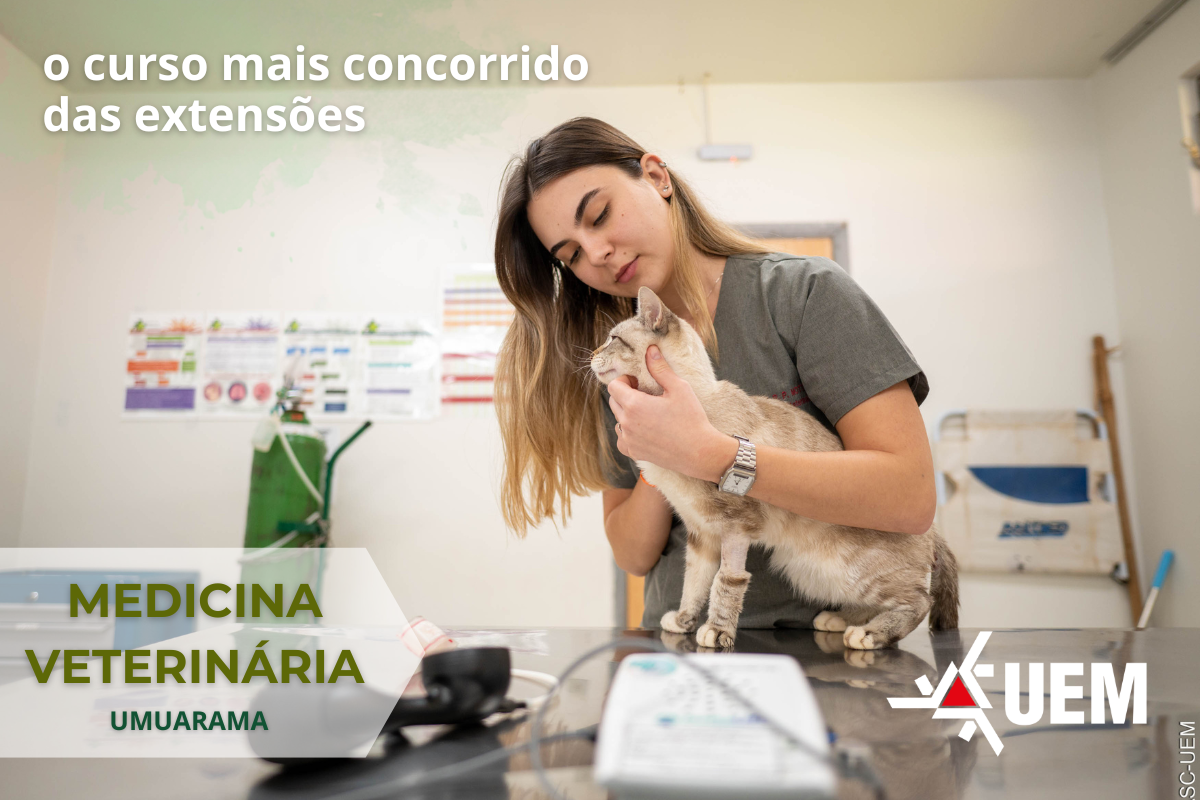 Curso forma profissionais para cuidar da saúde única: animal, humana e ambiental