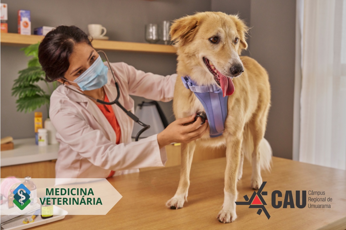 Curso forma profissionais para cuidar da saúde única: animal, humana e ambiental