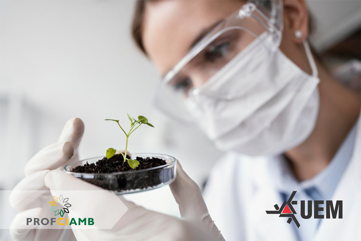 Seleção do PROFCIAMB oferece 15 vagas para professores da educação básica; inscrições vão até 21 de novembro