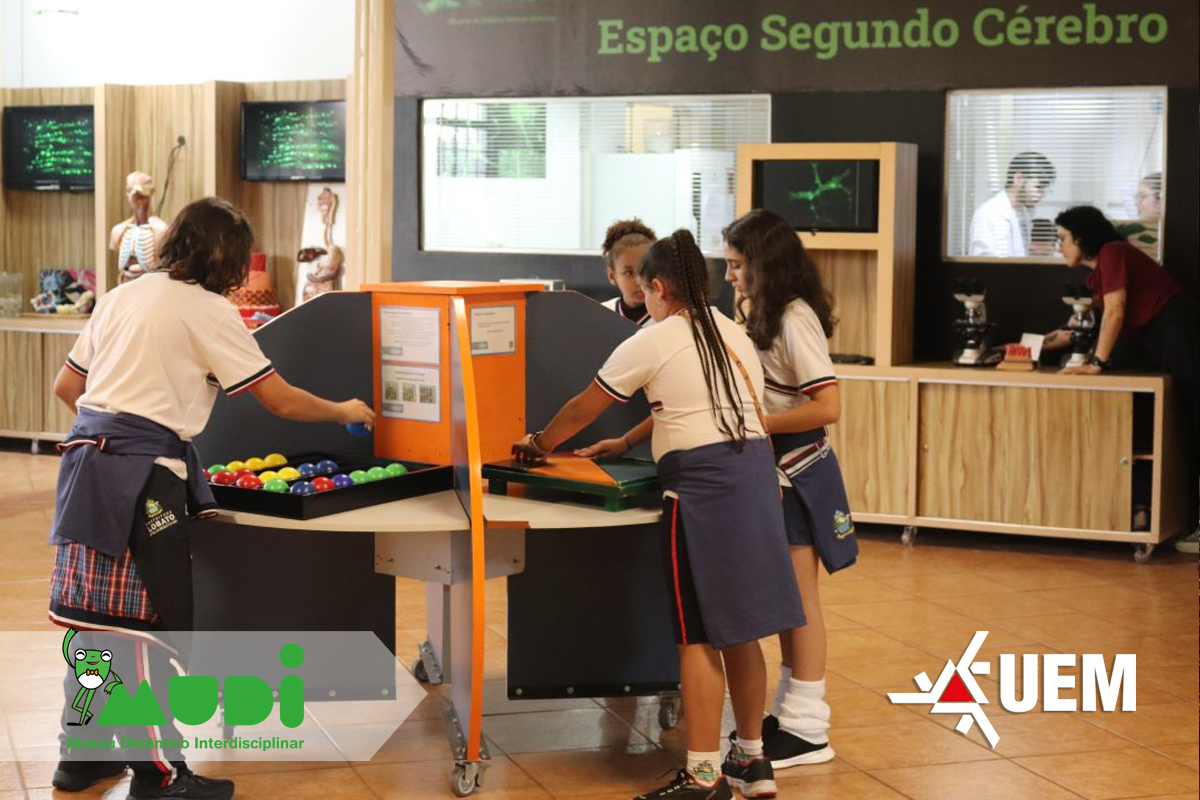 A partir de 2 de fevereiro, museu universitário de ciências da UEM abre para atividades e traz novidades