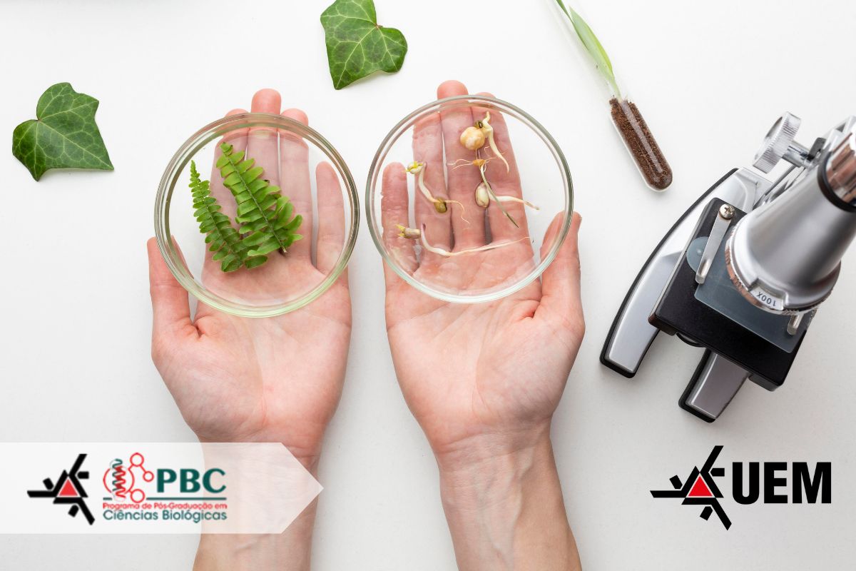 Inscrições seguem até 25 de março para duas bolsas vinculadas à Chamada do INCT para alunos regulares