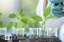 Prorrogadas inscrições para Mestrado e Doutorado em Biotecnologia Ambiental