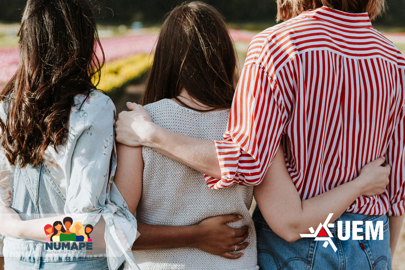 Crescimento da demanda e confirma a necessidade de fortalecer o acolhimento a mulheres na Comarca de Maringá