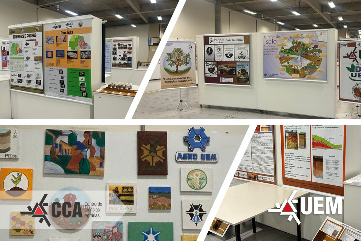 “Solos Saudáveis para Cidades Saudáveis” é o tema da edição deste ano