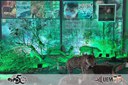UEM é destaque na Expo Umuarama 2025 com ciência e sustentabilidade