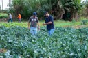 UEM promove curso internacional de cooperativismo e desenvolvimento rural