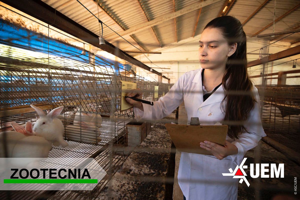 Curso alia pesquisa, modernização e formação completa para atuar na produção animal e no agronegócio