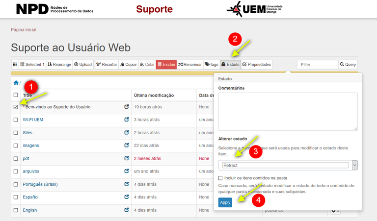 screenshot-siteadmin.uem.br-2019-04-16-11-05-13(1).png